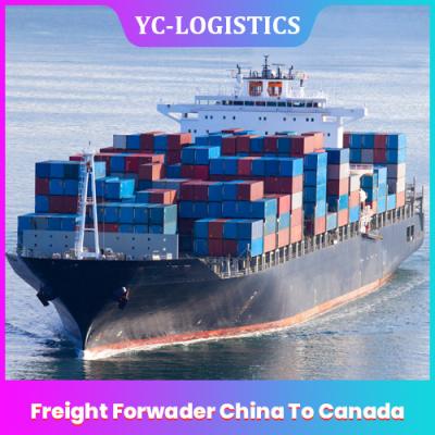 China 3 To 17 Days DDP DDU Shipping Agent China To Canada , Shenzhen Amazon FBA Freight Forwarder for sale