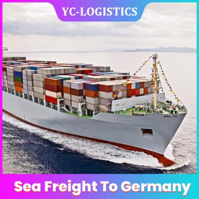 China DDP Sea Freight Shipping Company for sale