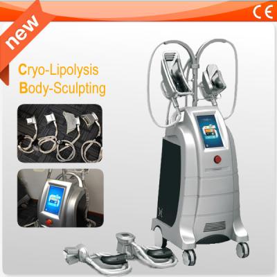 China Máquina do emagrecimento do equipamento da perda de peso de Cryolipolysis de 4 punhos para a redução gorda rápida à venda