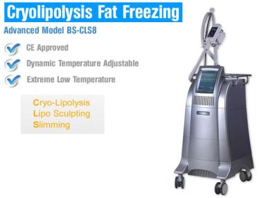 China Body Slimming / Shaping Cryolipolysis Fat Freezing Machine With Intelligent Temperature Control for sale