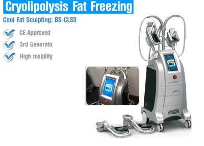 China Fette Verlust-Maschinen Sicherheit Cryolipolysis, fette einfrierende Körper-umreißende Maschine zu verkaufen