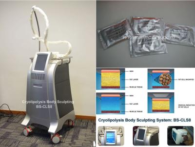 China Fetter Frost Cryolipolysis-Körper, der Maschinen-fette brennende Ausrüstung mit Kühltechnik abnimmt zu verkaufen