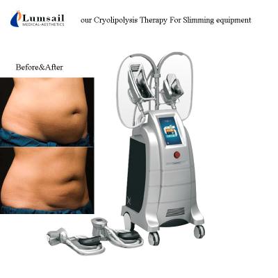 China 4D Body Slimming Machine Freezing Fat 360 Surround Cooling 4 Handles Cryolipolysis for sale
