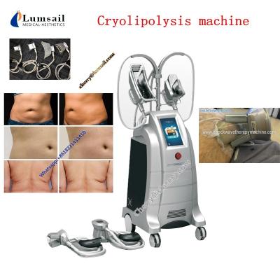 China Fat Freeze Cooling Cryolipolysis Body Slimming Machine Supersonic Operation Systerm for sale