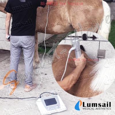 China Radial-ESWT-pferdeartige Veterinärstoßwellen-Therapie-Maschine zu verkaufen