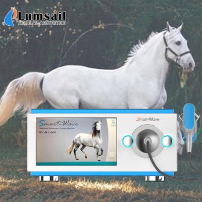 China Pain Reduce Low Noise Horse Shockwave Machine For Horses Medical Device for sale
