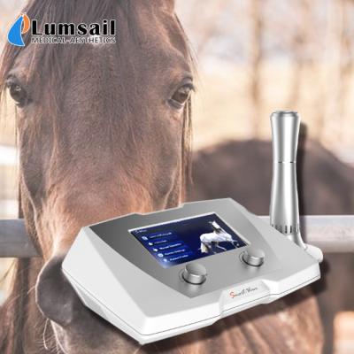 China Veterinary Equine Shockwave Machine Equipment For Dogs / Horses White Color for sale