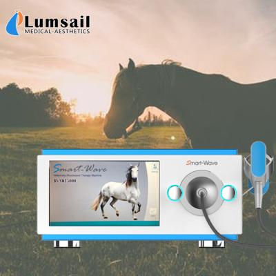China Máquina enfocada de la terapia de la onda de choque del caballo del transmisor para el dolor de espalda del caballo en venta