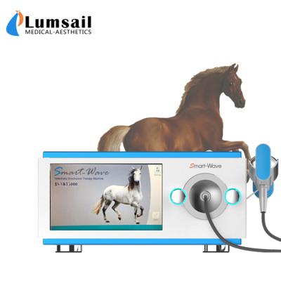 China Pequeña máquina equina radial física animal de la onda de choque para el tratamiento del caballo en venta