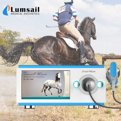 China Lärmarmes Pferdepferdeartige Druckwelle-Therapie-Ausrüstung für die Schmerz BS-SWT5000 zu verkaufen