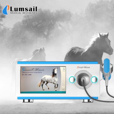 China Professional Physiotherapy Radial Shockwave Therapy Machine Equine Shock Wave Equipment for sale