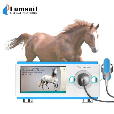 China Máquina de la terapia de la onda de choque de los caballos de raza de la fisioterapia en venta