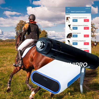 China Horse Veterinary ESWT Therapy Machine Medicine Application for sale