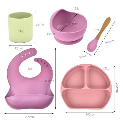 China Durable Weaning Silicone Feeding Set 5pcs In 1 Set Reusable Harmless for sale
