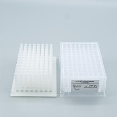 China DNA RNA Magnetic Bead Viral Nucleic Acid Isolation Kit Multifunction for sale