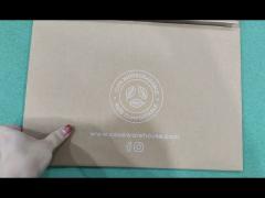 Custom Eco-friendly Sustainable Kraft Paper Envelope Packaging Bag/Mailer