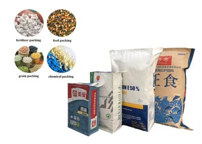 China Customized Recyclable Moisture Proof Paper Valve Bag Building Material Packing Bag for sale