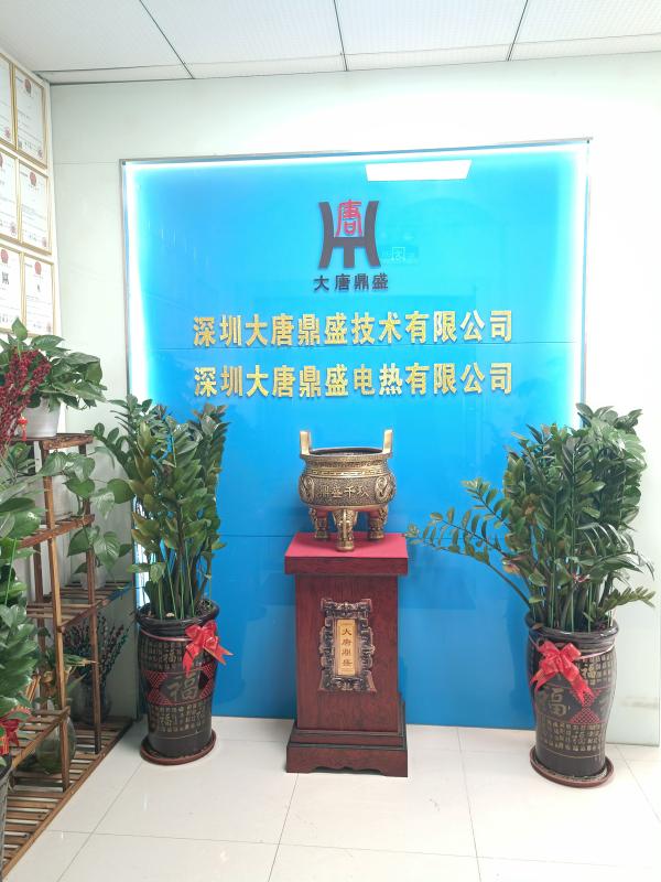 Fournisseur chinois vérifié - Shenzhen Datang Dingsheng Technology Co., Ltd.