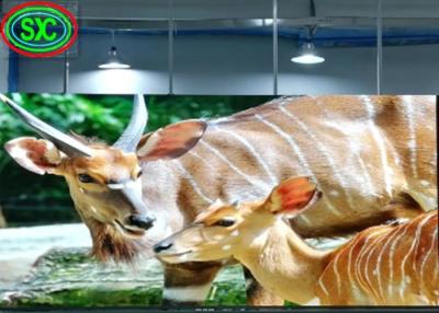 China P6 Indoor Full Color LED Digital Display With Die-Casting Cabinets , HD Led Screen, Light Weight Cabinet for sale