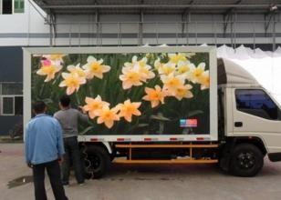 China A placa de exposição móvel conduzida P10 do vídeo, caminhão montado conduziu a cor completa da tela à venda