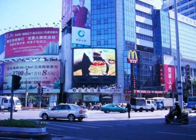 Cina La fase all'aperto LED di HD IP65 SMD Digital P10 scherma la densità di RGB 10000 in vendita