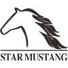 China Guangzhou Star Mustang Construction Machinery Parts Co., Ltd