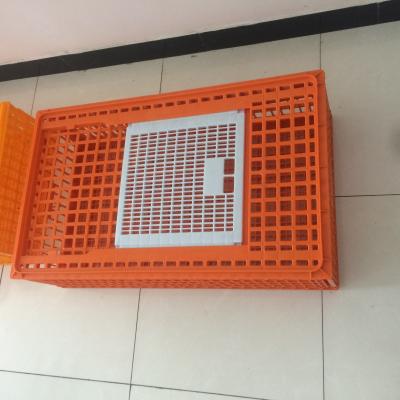 China 98cm Plastic Chicken Transport Box for sale