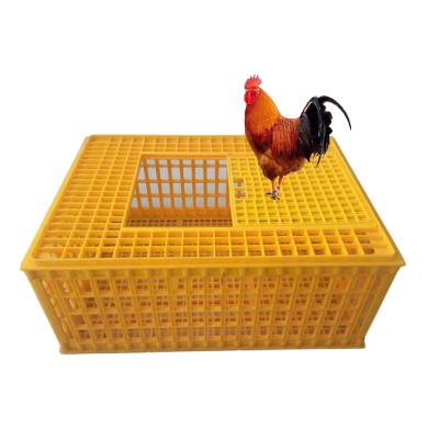 China 10 Chicken Plastic 12.25 Inches Detachable Poultry Transport Cage for sale