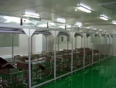China Stainless Steel Hospital / Laboratory Laminar Flow Booth for sale