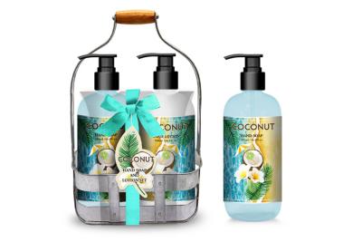 China Wire Basket Hand Soap And Lotion Gift Sets 2pcs Caddy Bath Set for sale