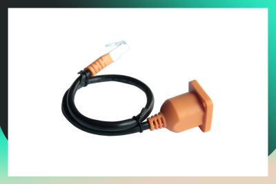 China Pure Copper RJ45 Patch Cable Extension Line With Ear Fixed With Screw Hole Male for sale