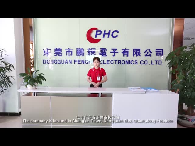 Dongguan Penghui Electronics Co., Ltd. Introduction Video