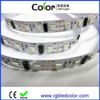 China 5050 4 en 1 tira digital de RGBW LED en venta