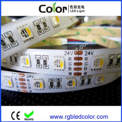 China High brightness 60led/m DC12V 24V 5050 smd rgbw led strip for sale