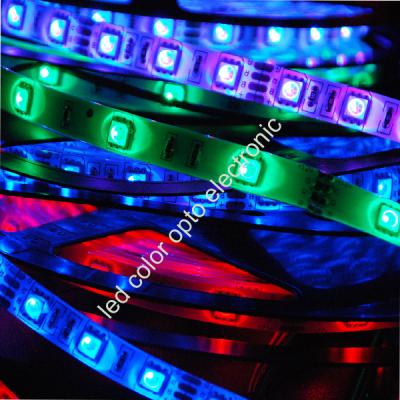 China high brightness 5050 60led/m flexible led strip for sale