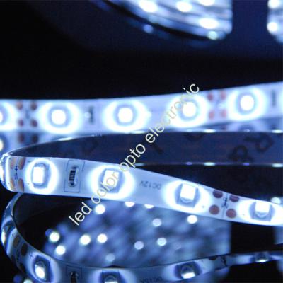 China 30/60/120 led 5050 white color LED strip for sale