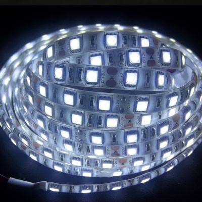 China 5050 single color flexible led strip for sale