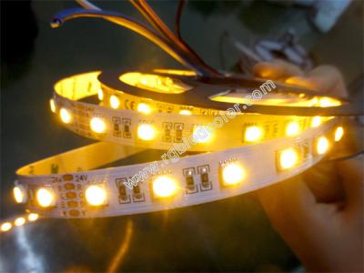 China 24V rgb and yellow four color chips inside one smd led strips for sale