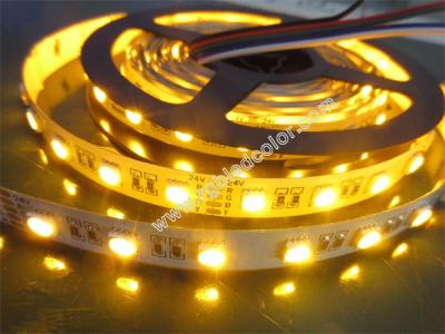China rgbw/y 4in1 led strip 30/60/72/84/96/120 leds per m for sale