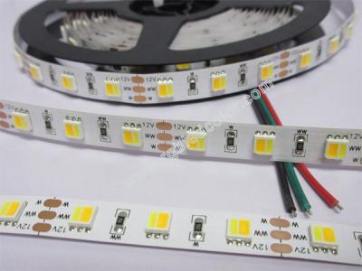 China 12V 5050 WW+W CCT dimmable led strip 60led 9.6w for sale