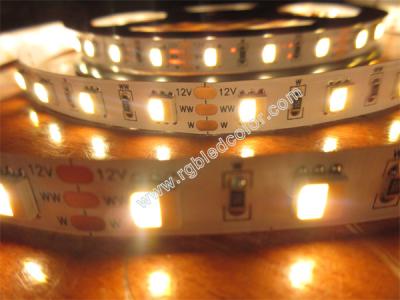 China warm white and white in one 5050 smd cct dimmable led strip for sale