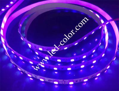 China dc12v purple color led strip for sale