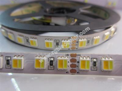 China 5050wwa three different white cct dimmable led strip for sale