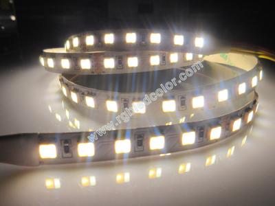 China 5050wwa 1800-7000K white color dimmable flex led tape for sale