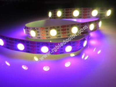China WS2813 Addressable LED Strip for sale