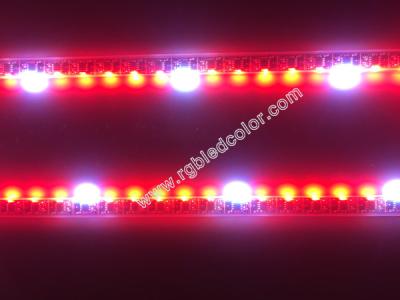 China dream color rgb side emitting strip light for sale