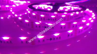 China rgb side emitting led strips light 5m 300led 14.4w multicolor flex led tape light for sale