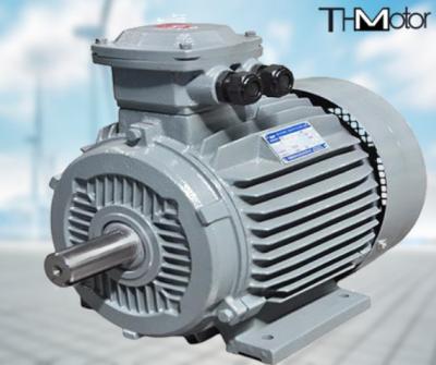 China GB30254 High Voltage Flameproof Electric Motor Pump IP65 165kW for sale