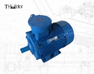 China VVVF Speed Regulation Explosion Proof Motor IP55 Protection Class 380-440 V for sale
