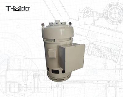 China 3000 RPM YLB TEFC Motores de aplicaciones especiales 10-600 CV Eficiencia y calidad en venta